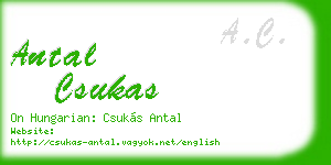 antal csukas business card