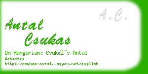 antal csukas business card